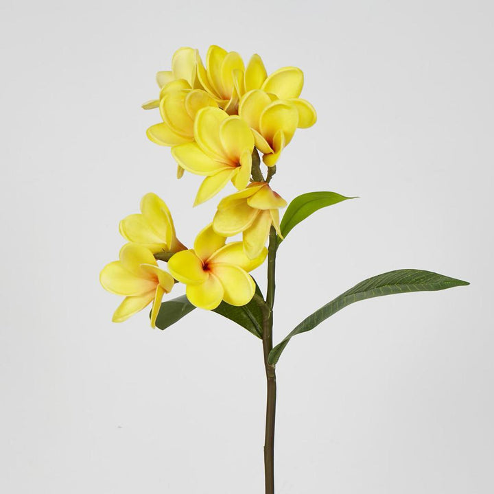 Frangipani Spray 46cm Yellow