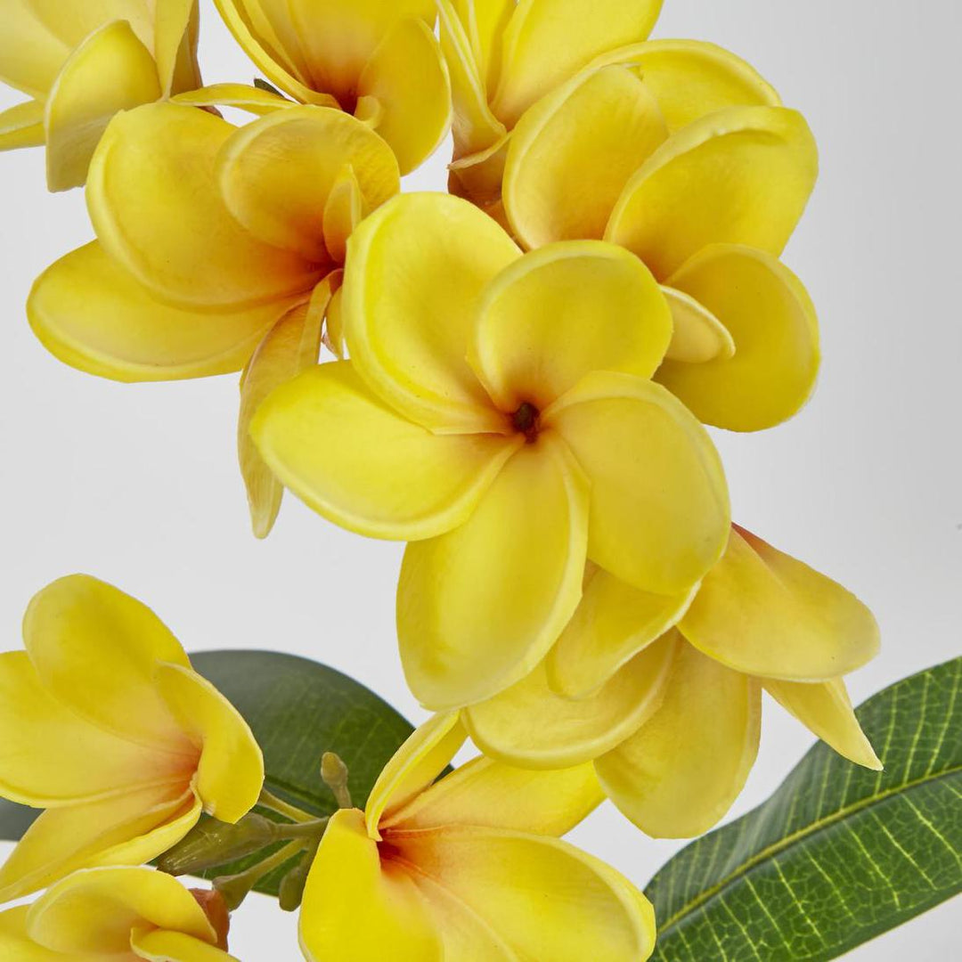 Frangipani Spray 46cm Yellow