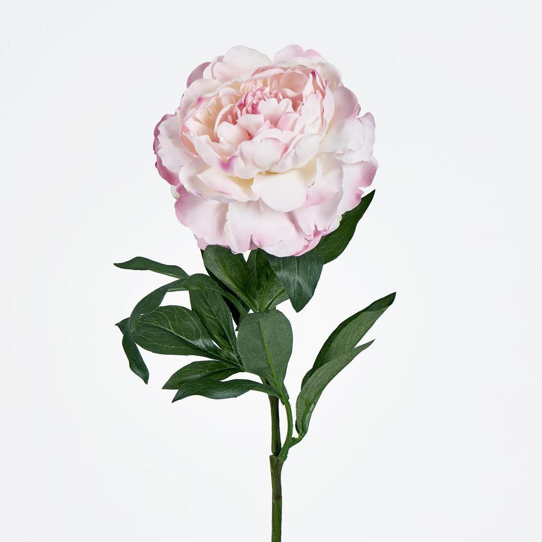 Peony Stem 66cm Pink