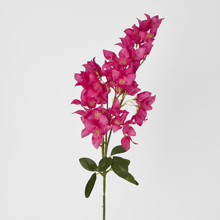 Bougainvillea Branch 83cm Fuchsia