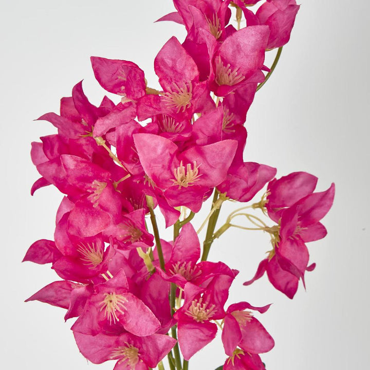 Bougainvillea Branch 83cm Fuchsia