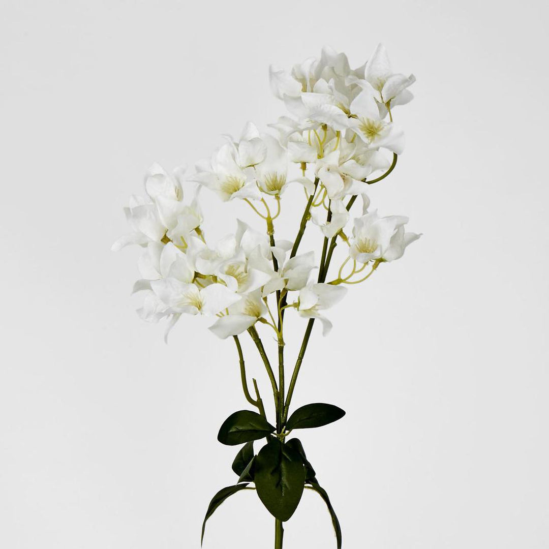 Bougainvillea Branch 83cm White