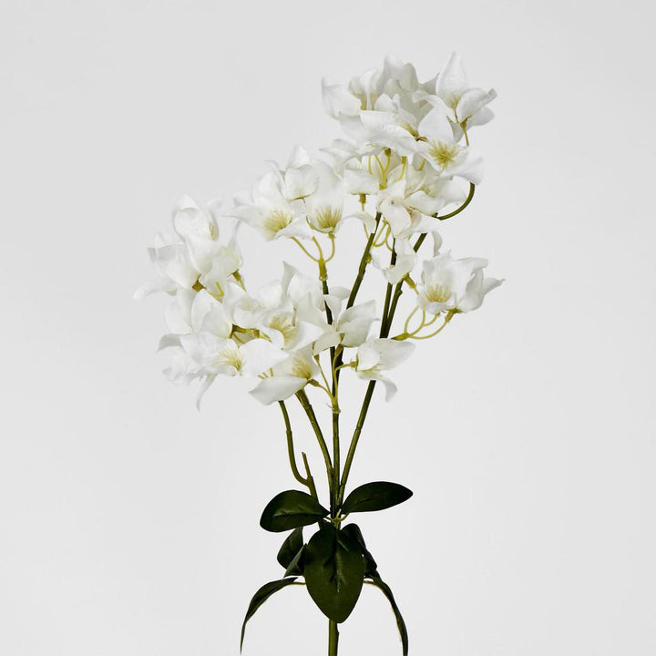 Bougainvillea Branch 83cm White