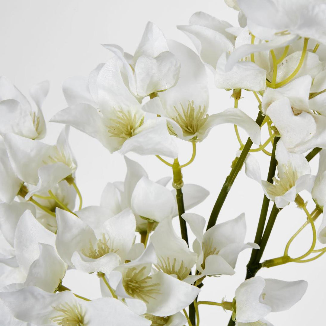 Bougainvillea Branch 83cm White