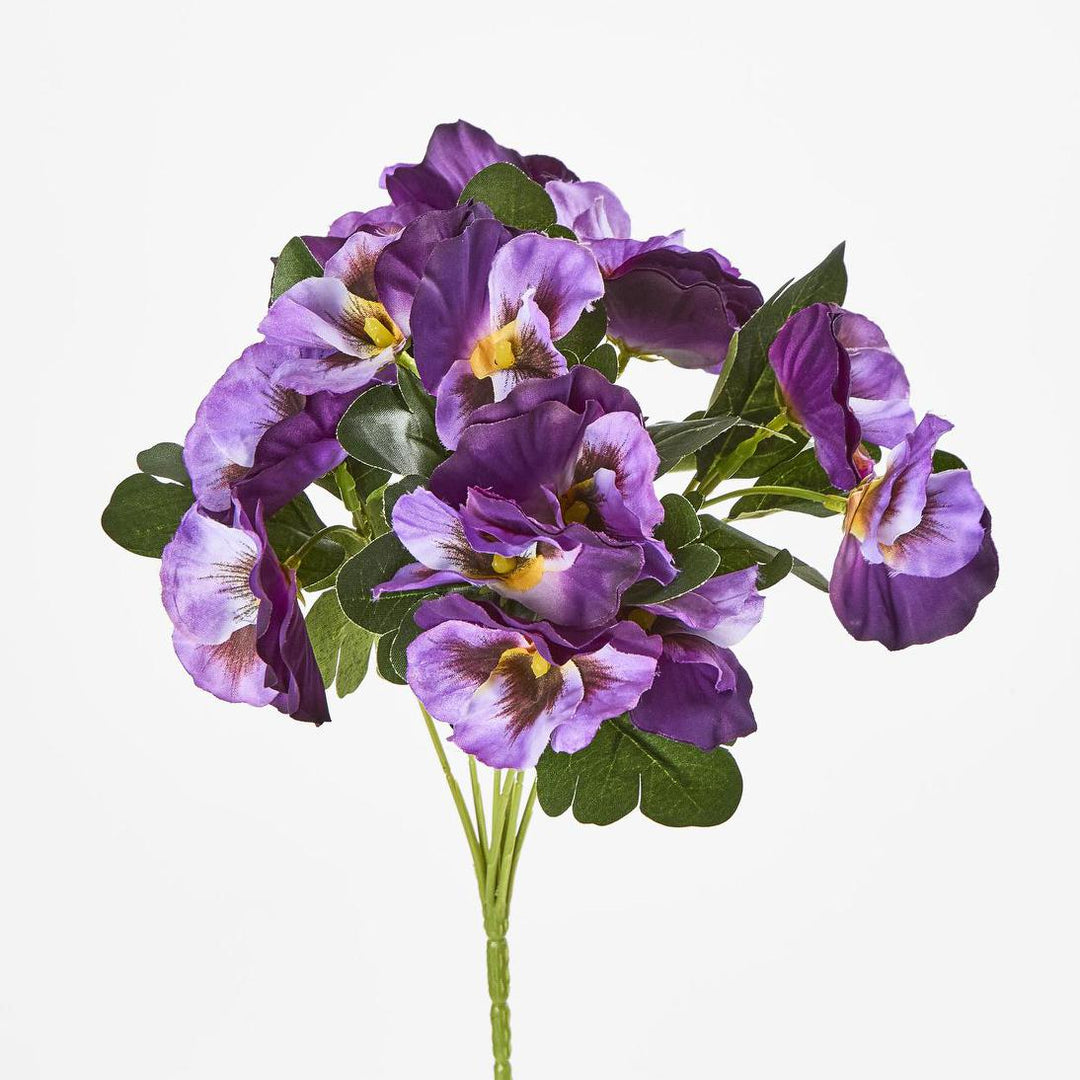 Pansy Bush 32cm Purple