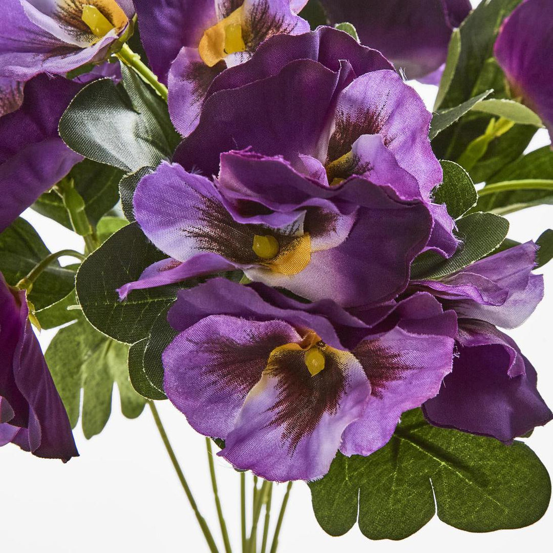 Pansy Bush 32cm Purple