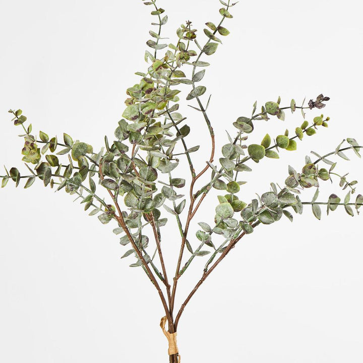 Eucalyptus Bundle 4pce