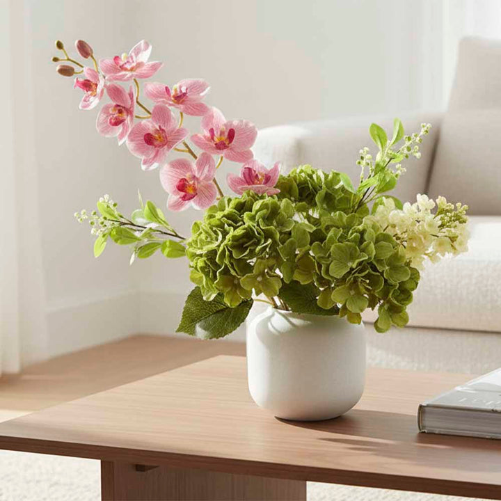 Phalaenopsis Orchid Spray Pink