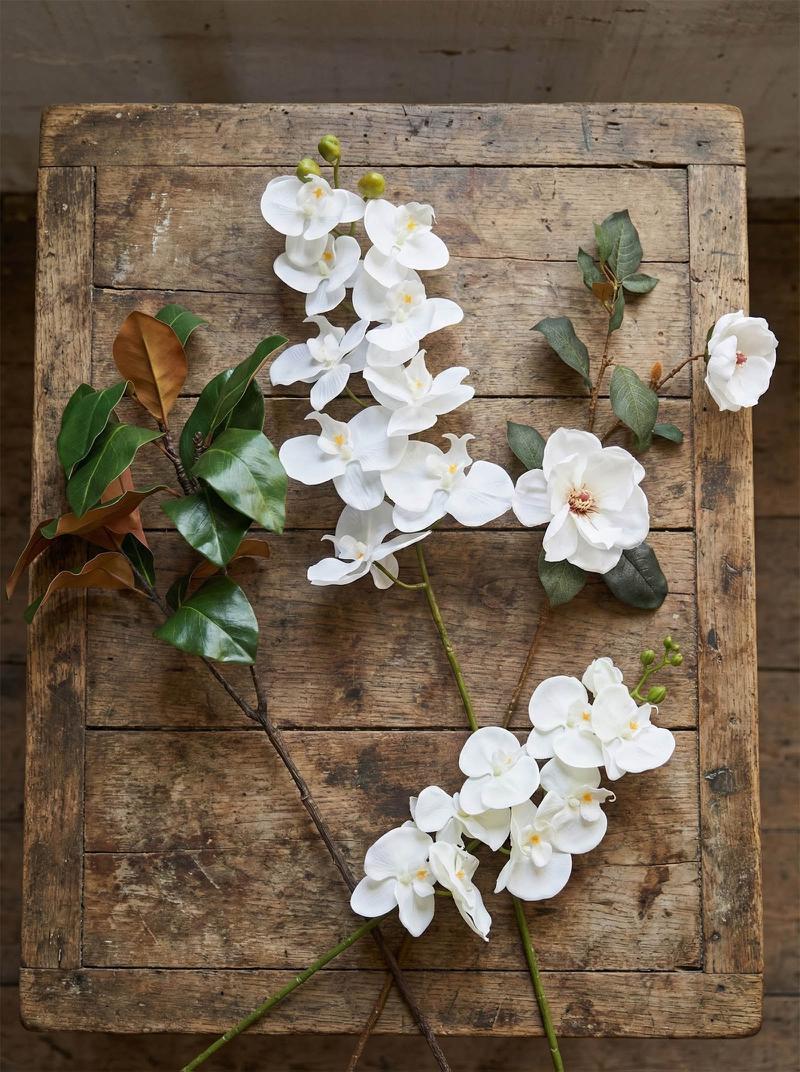 Southern Magnolia Branch