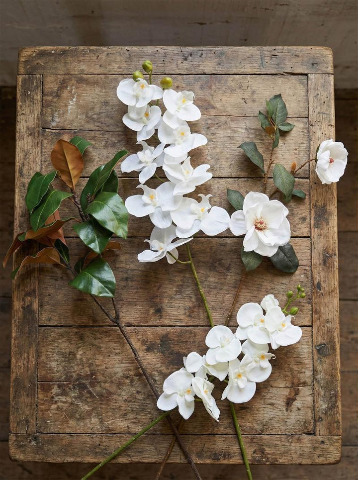 Southern Magnolia Branch