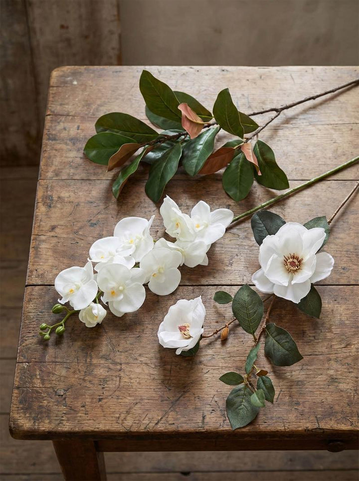Southern Magnolia Branch
