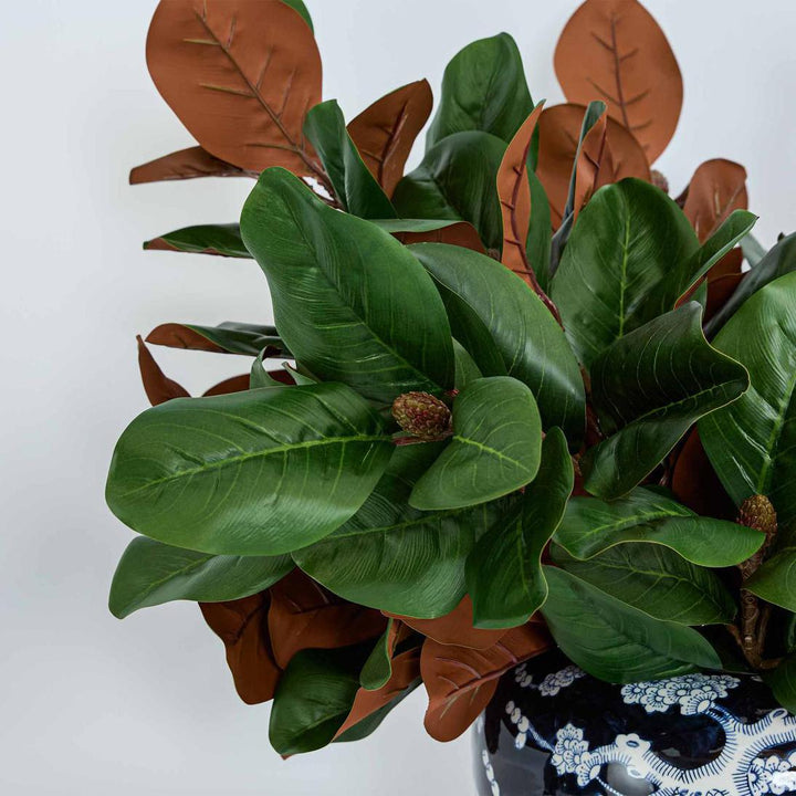 Southern Magnolia Branch