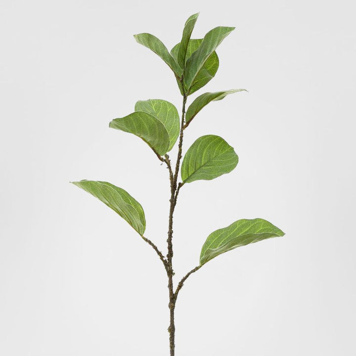 Leaf Ficus Spray 86cm Green