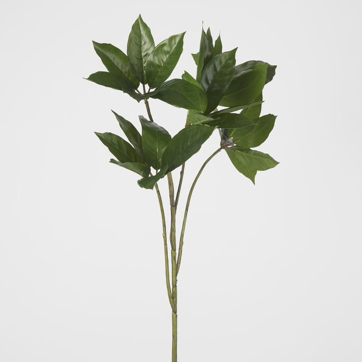 Frangipani Leaf Spray 84cm