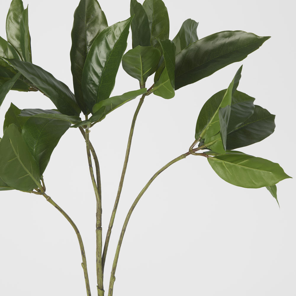 Frangipani Leaf Spray 84cm