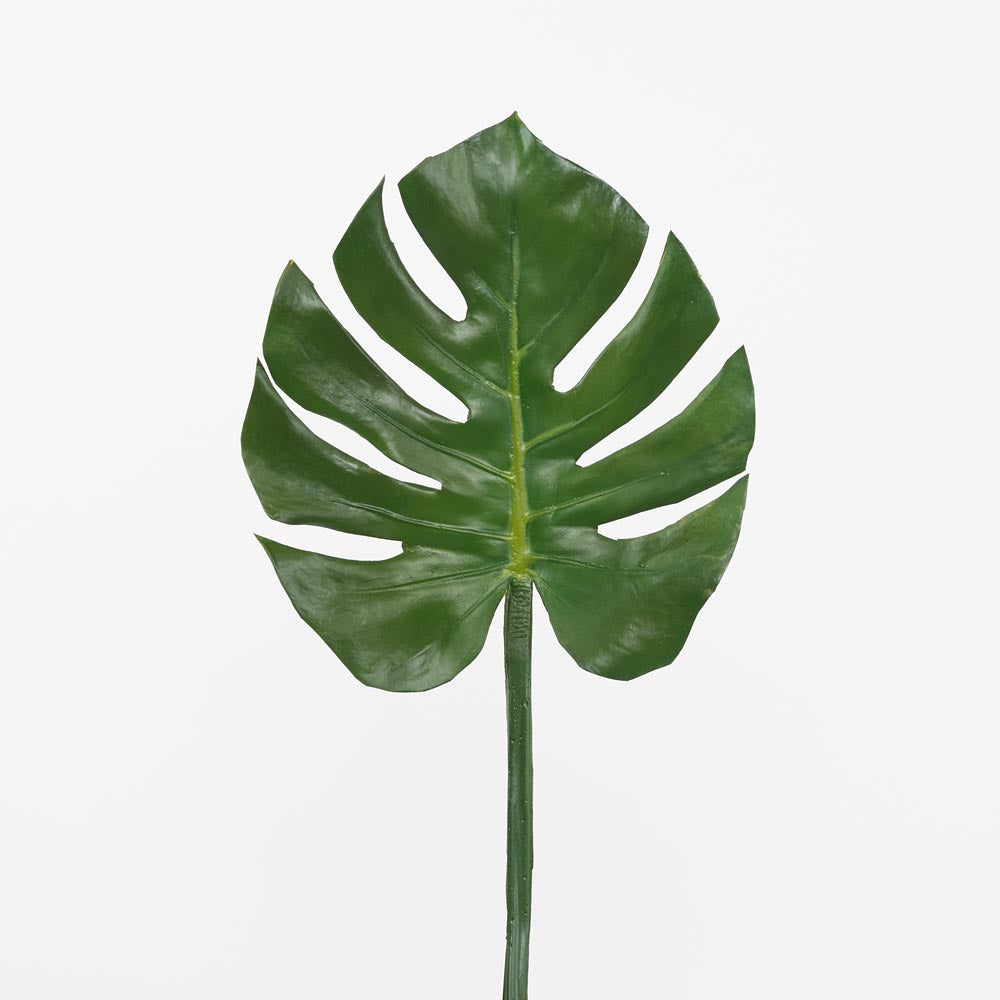 Split-Leaf Philodendron Stem 75cm Green