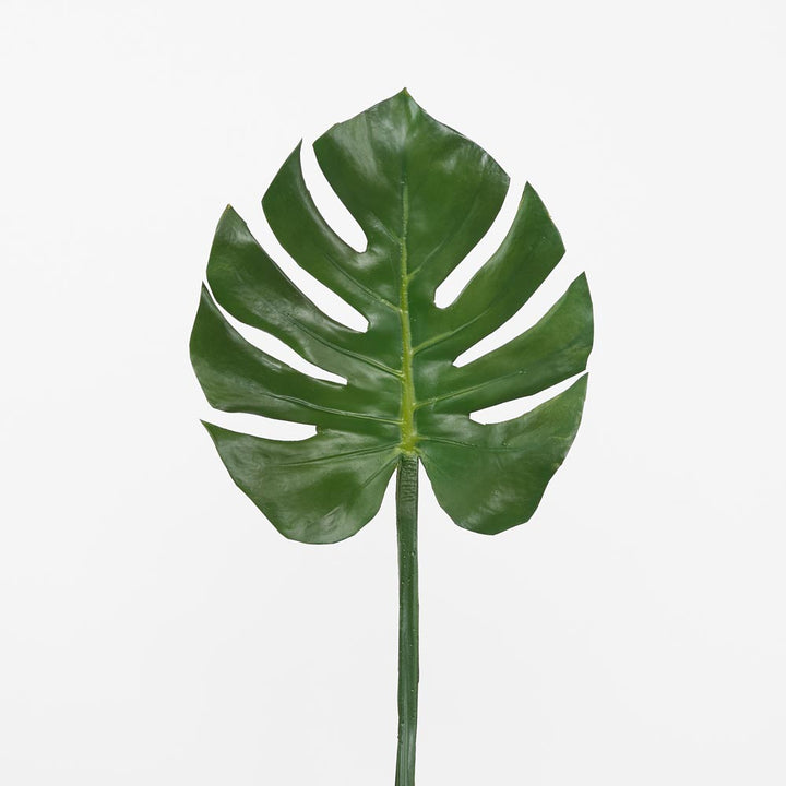 Split-Leaf Philodendron Stem 75cm Green