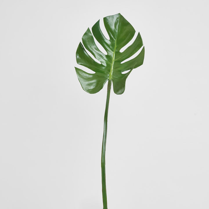 Split-Leaf Philodendron Stem 75cm Green