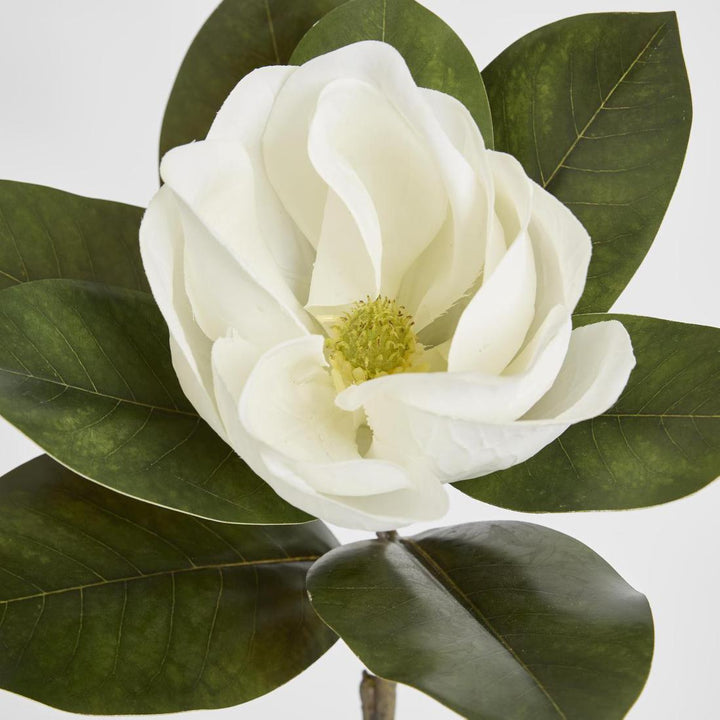 Magnolia Single Head 70cm White