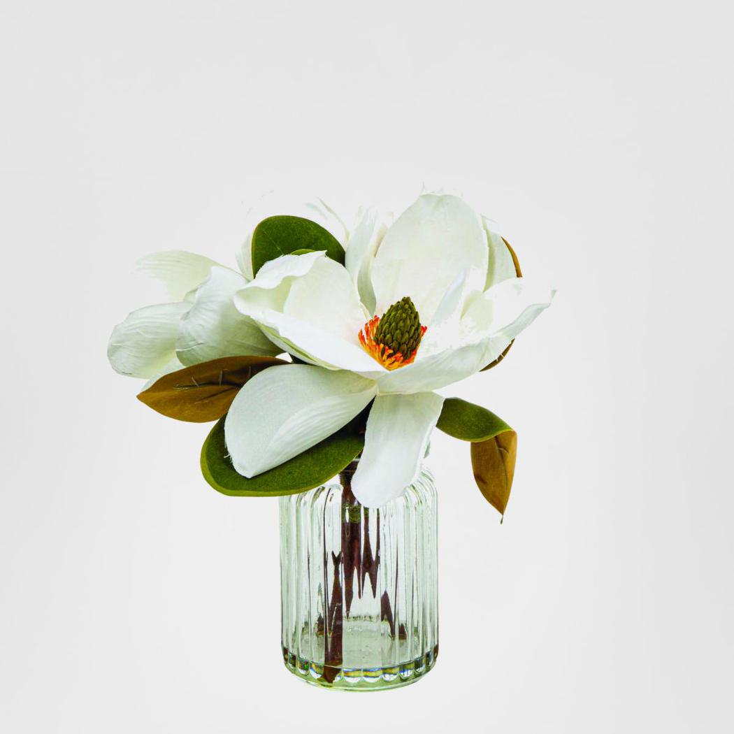 Magnolia in Glass Vase 30cm White