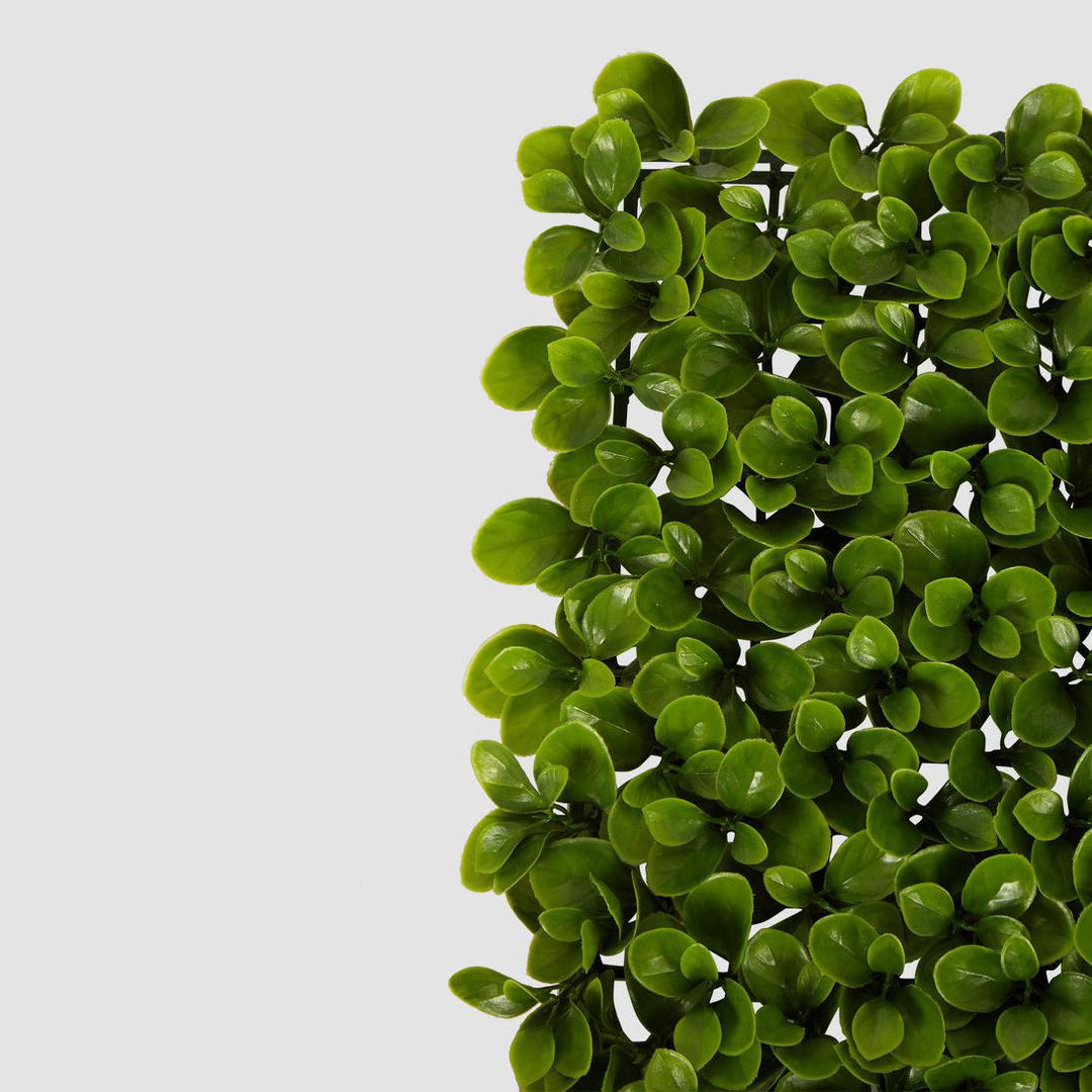 Greenery Garden UV Coated Outdoor Screen Mat