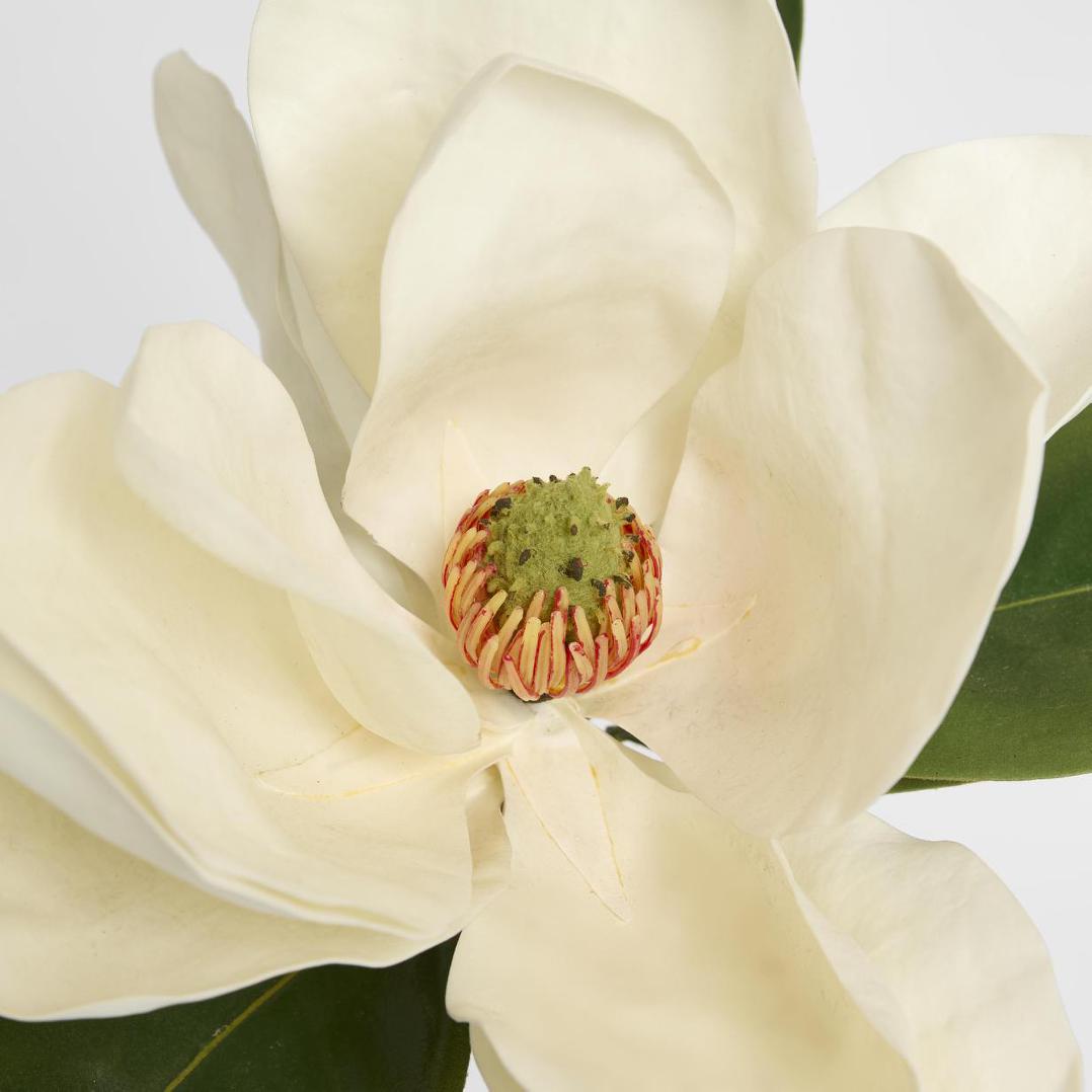 Magnolia 77cm White