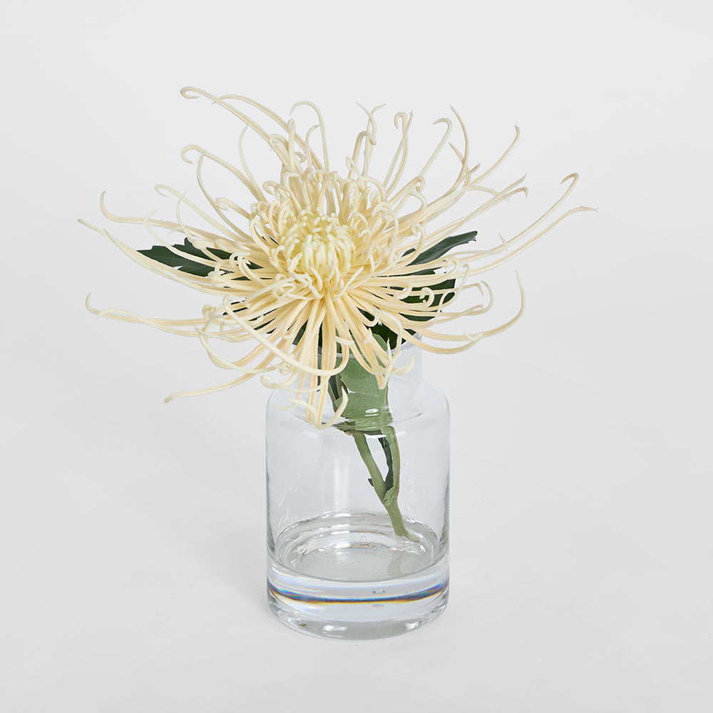 Spider Mum Stem in Vase 20cm Cream