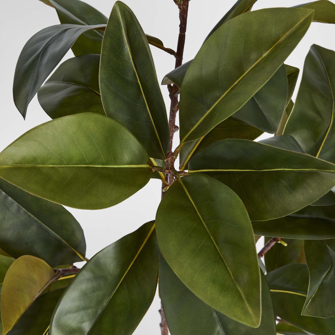 Real Touch Magnolia Tree 1.2M