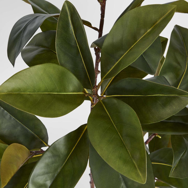 Real Touch Magnolia Tree 1.2M