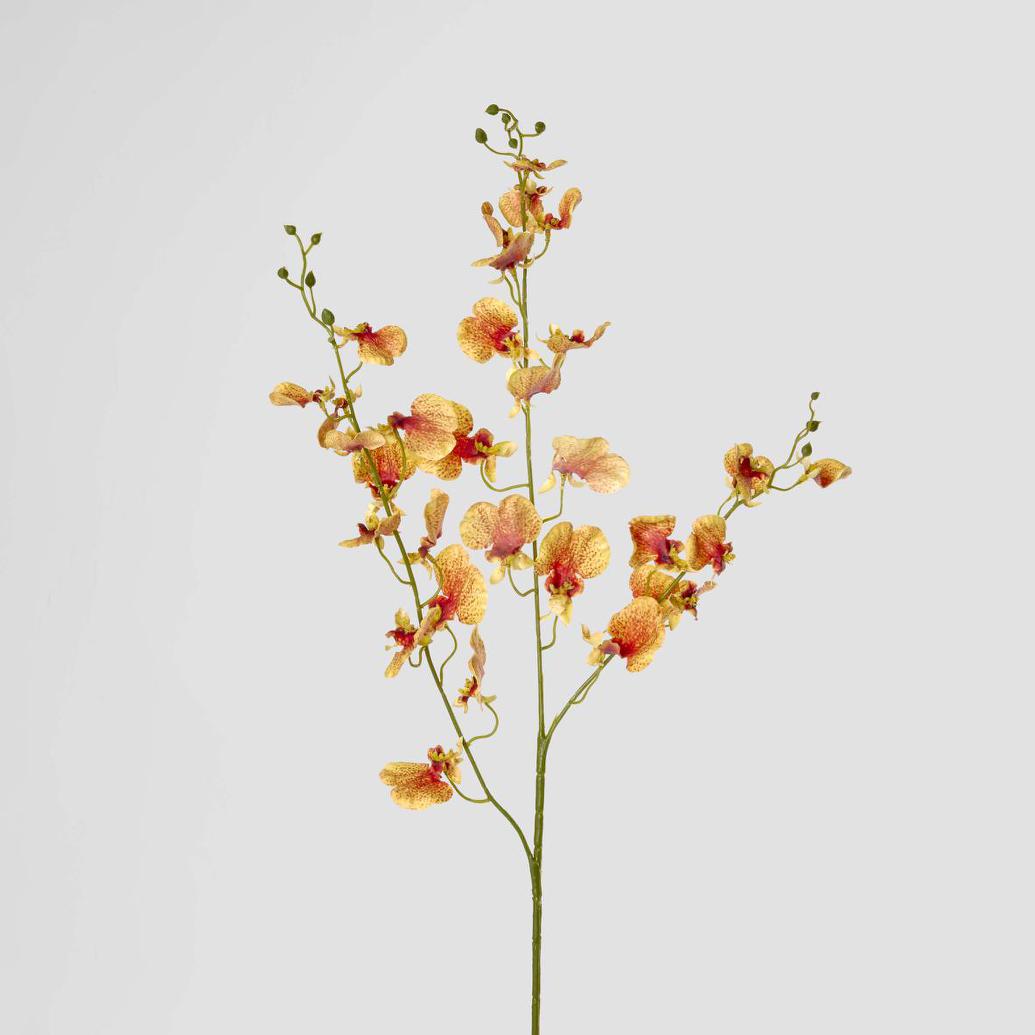 Lilly Dancing Orchid 98cm Orange