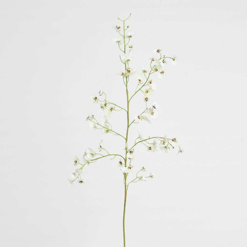 Dancing Orchid 93cm White