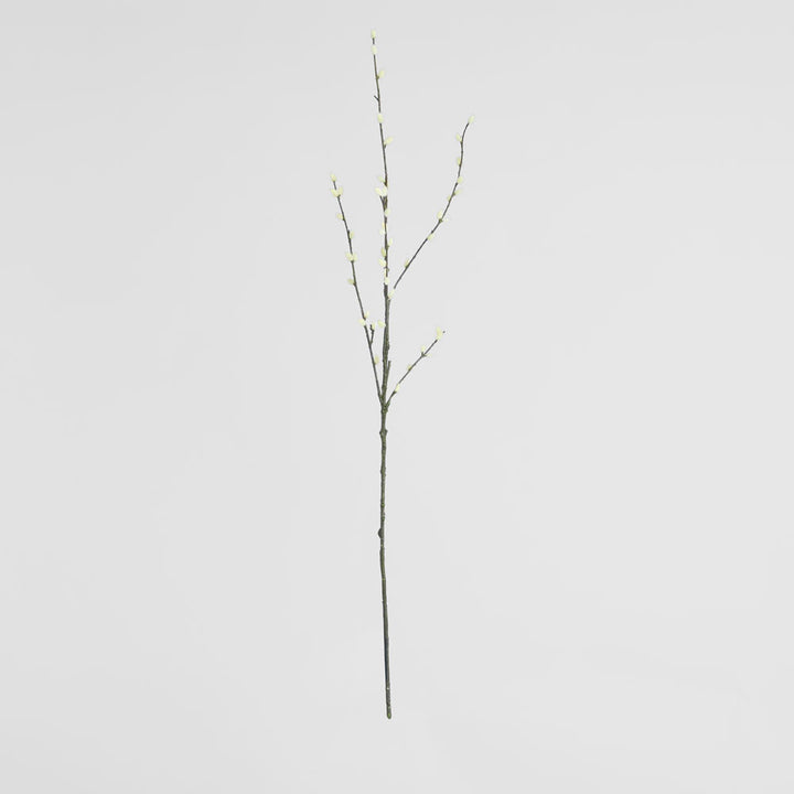Pussy Willow twig Spray Cream