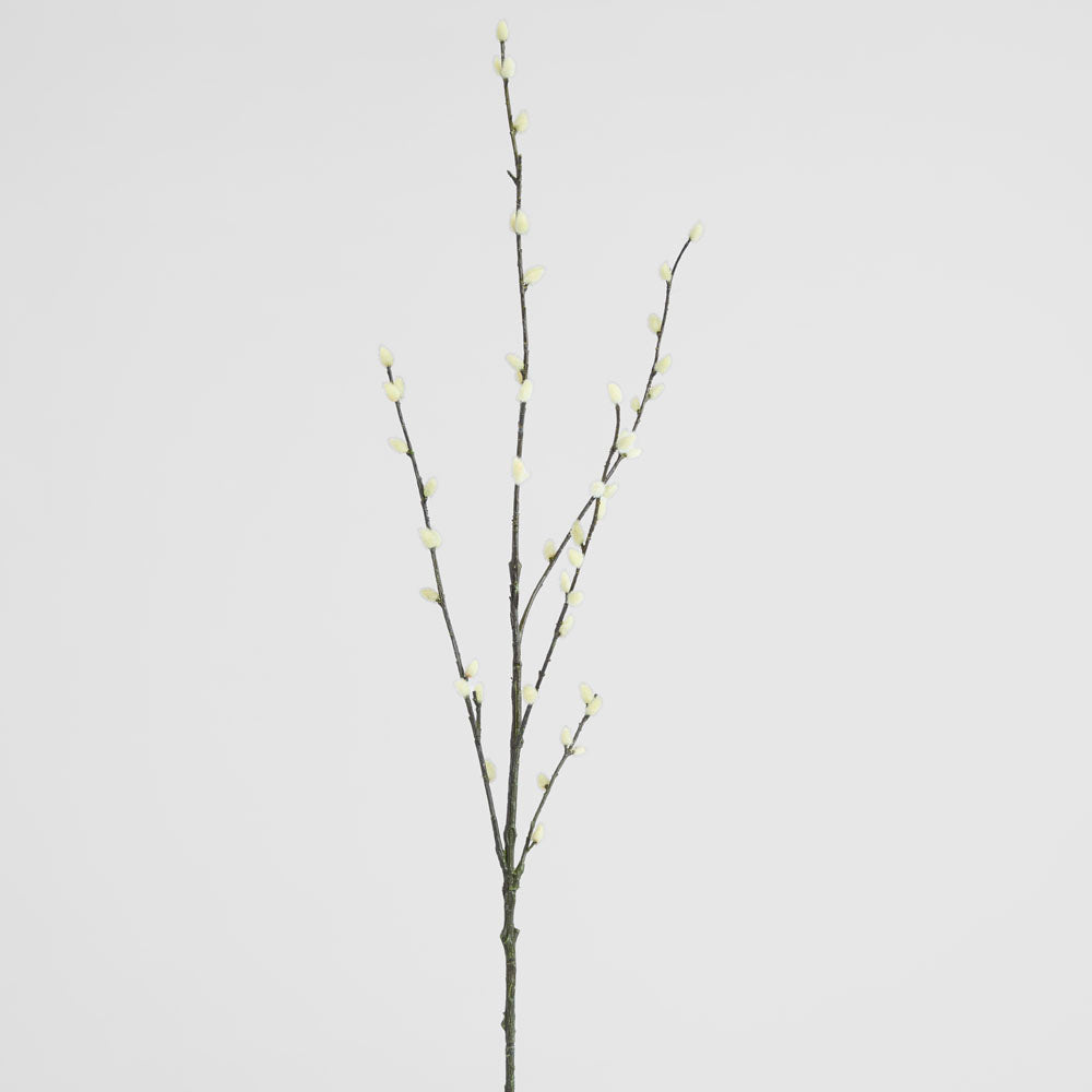 Pussy Willow twig Spray Cream