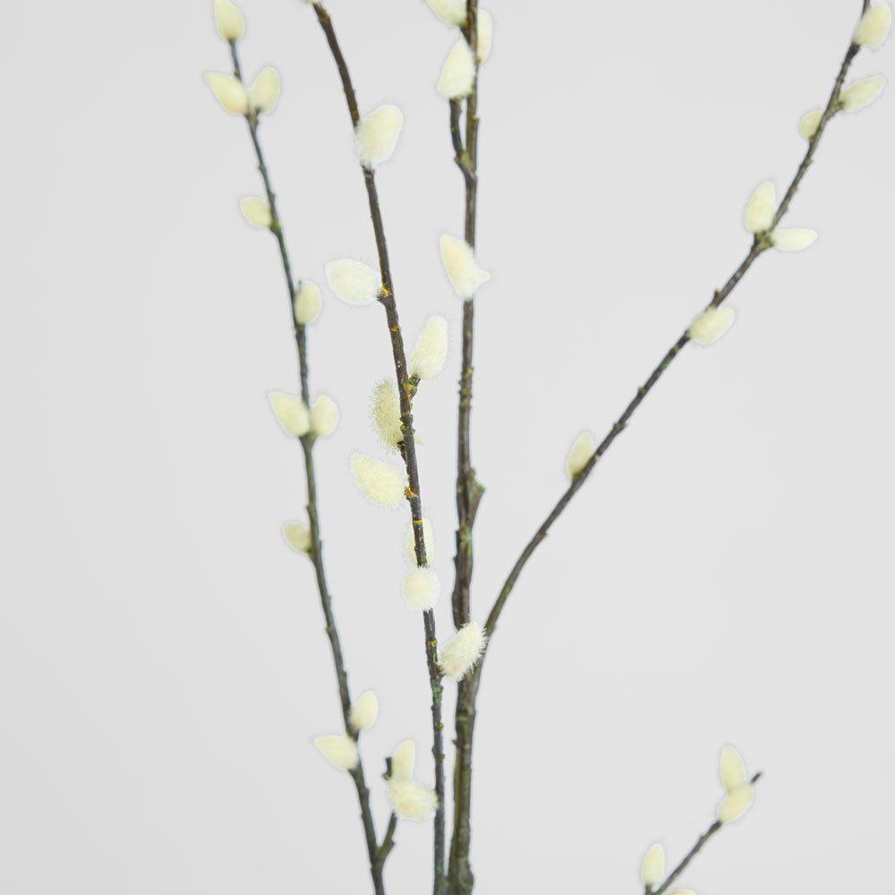 Pussy Willow twig Spray Cream