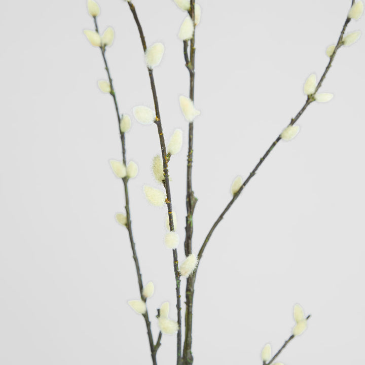 Pussy Willow twig Spray Cream