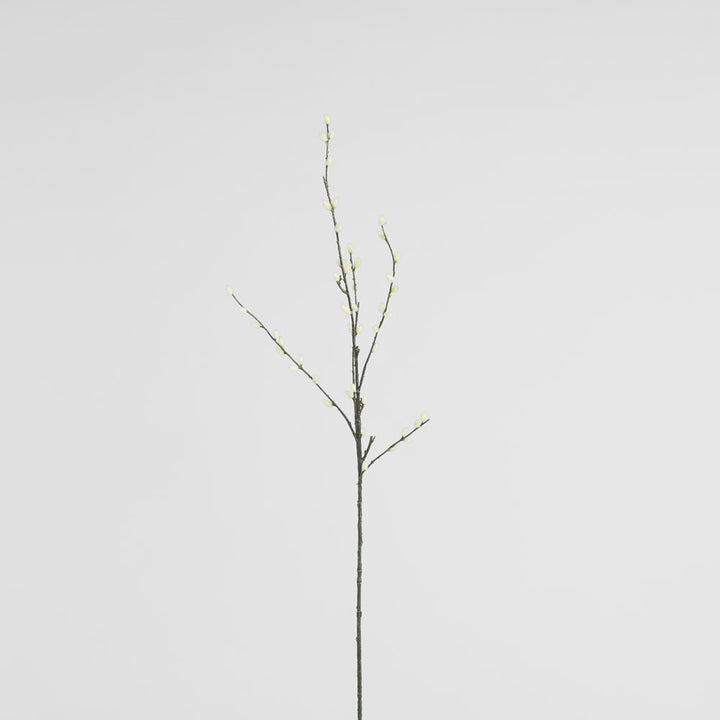 Pussy Willow twig Spray Cream