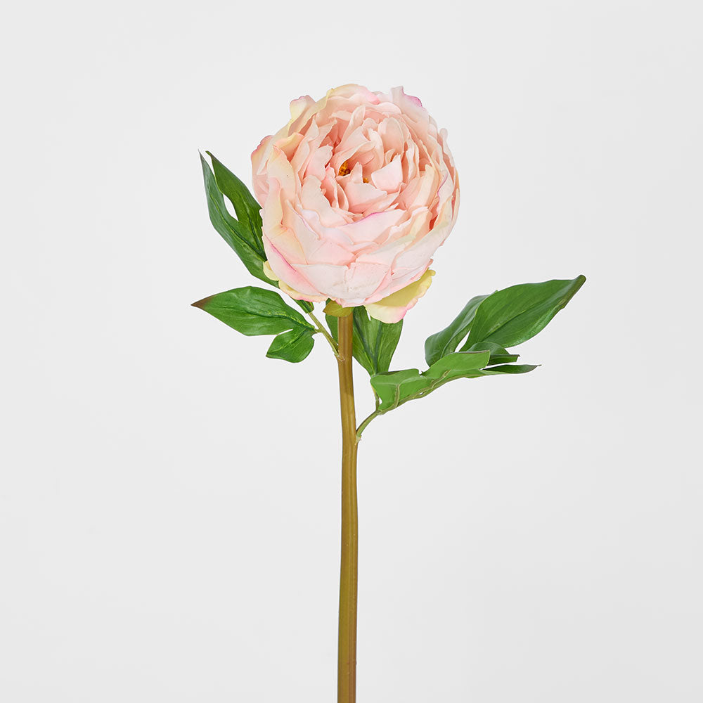 Peony Flower Real Touch Stem Pink Large