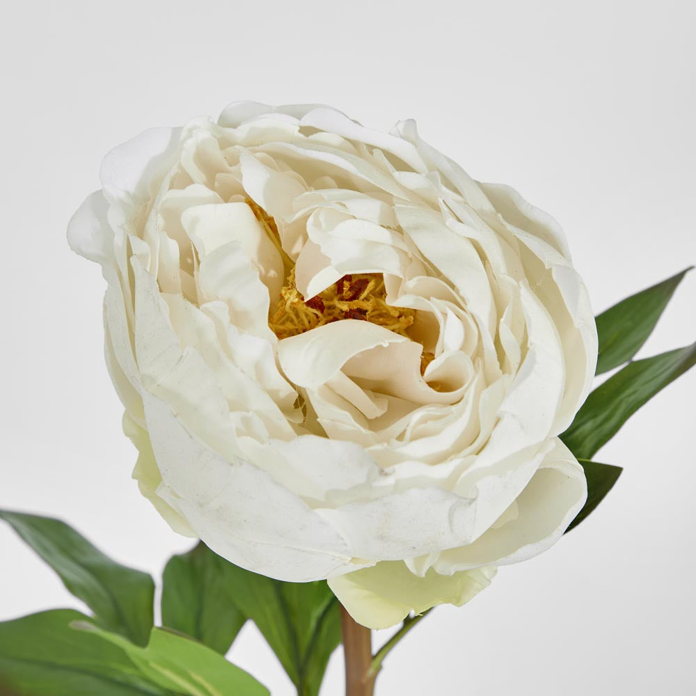 Peony Flower Real Touch Stem White Large