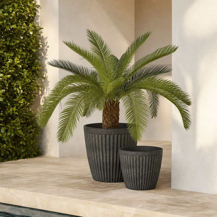 Elwood Set of 2 Planters Black
