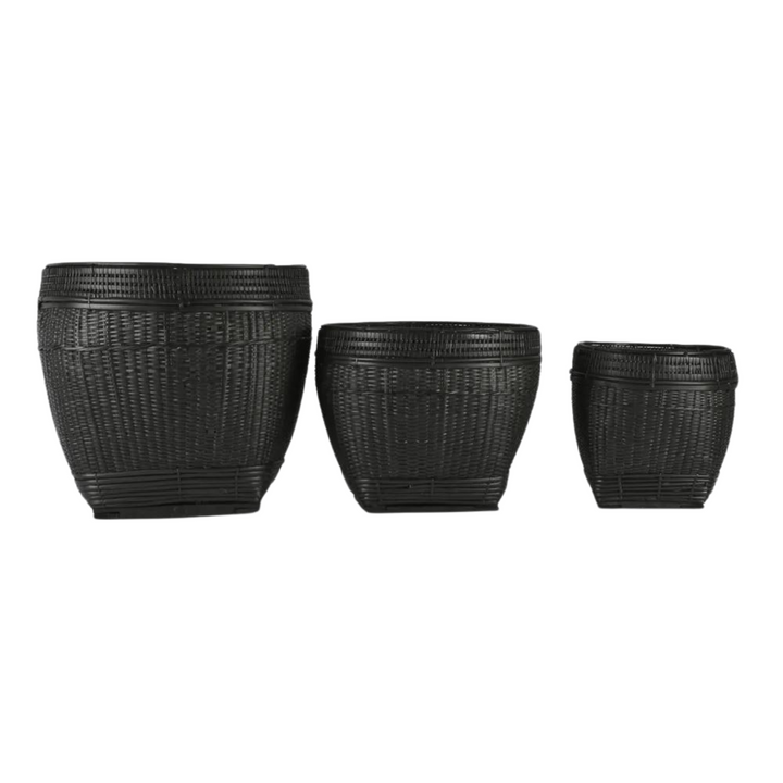 Paume Rattan Planter Set 3 Black