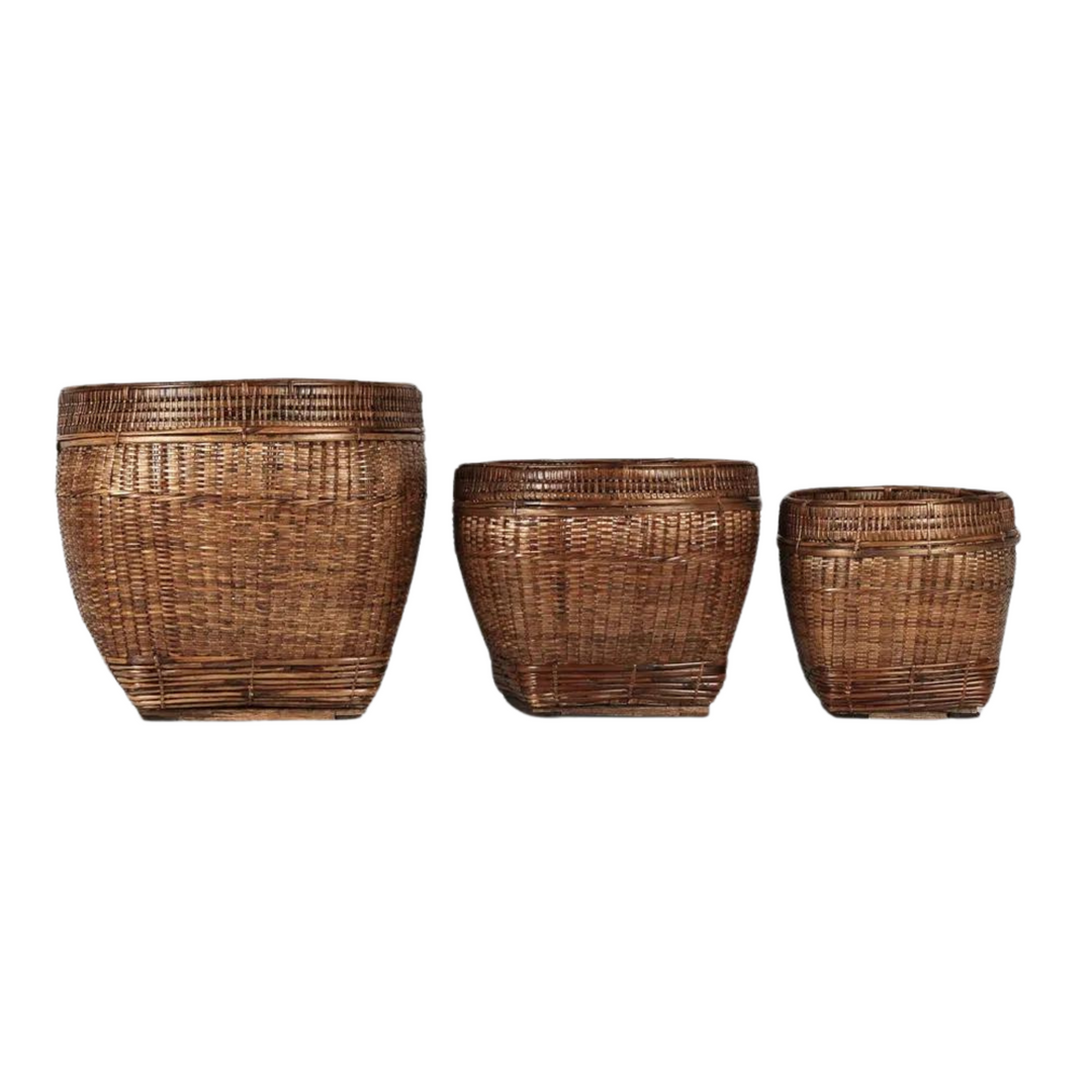 Paume Rattan Planter Set 3 Antique Brown