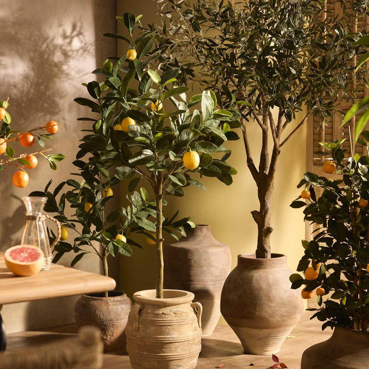 Aura Planter Wide Rustic Brown