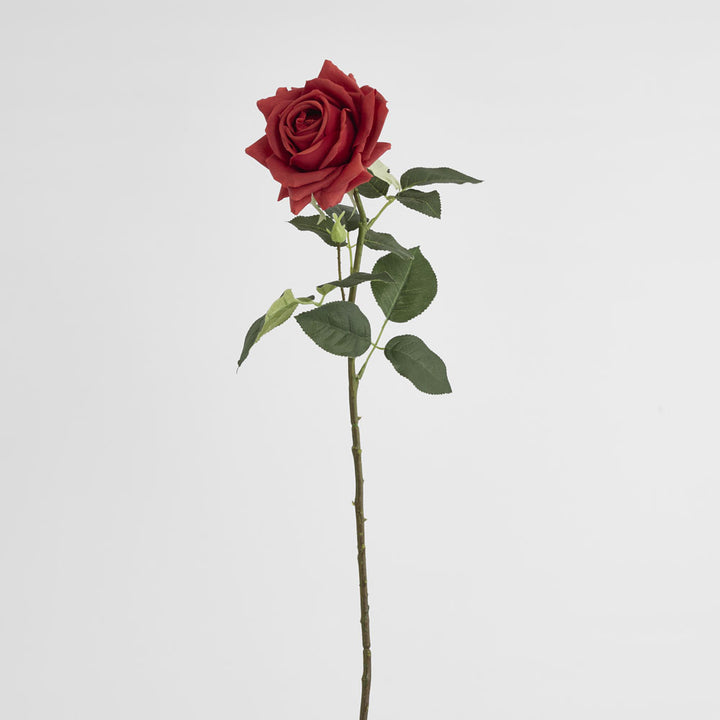 Belle Real Touch Rose Stem 65cm Red