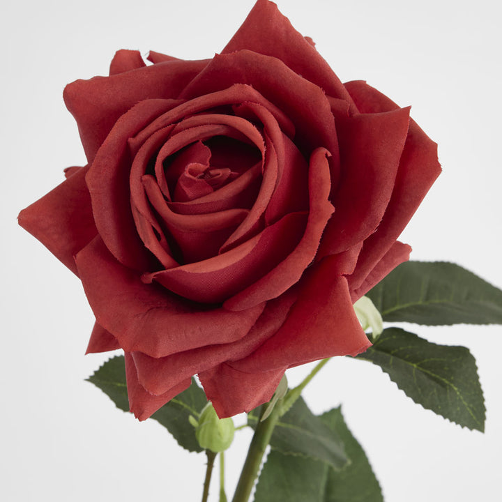 Belle Real Touch Rose Stem 65cm Red