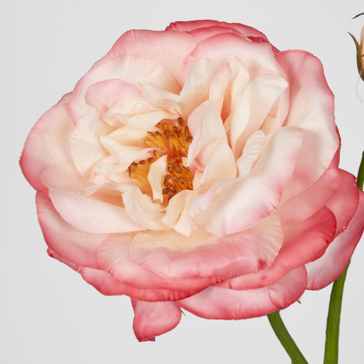 Real Touch Angelina Rose Spray Pink