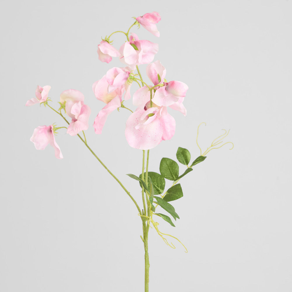 Sweetpea Spray 70cm Pink