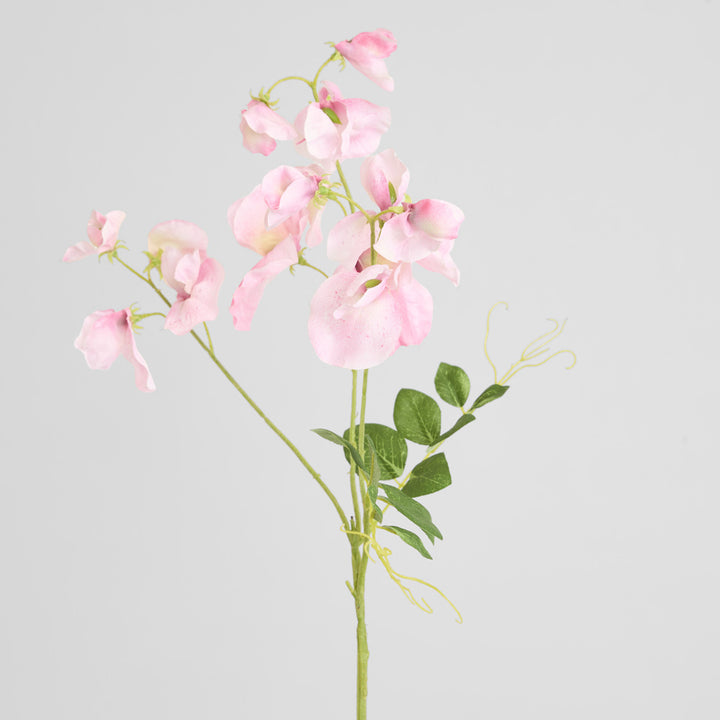 Sweetpea Spray 70cm Pink