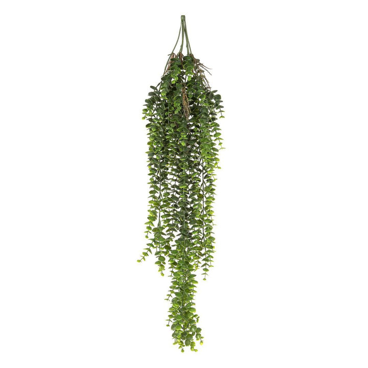 Staghorn Hanging 80cm