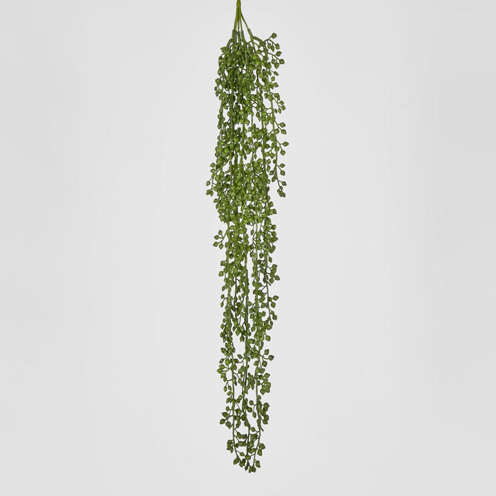 Real Touch Senecio Hanging Vine 73cm