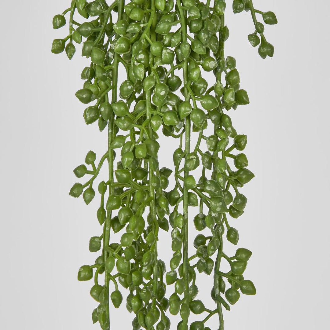Real Touch Senecio Hanging Vine 73cm